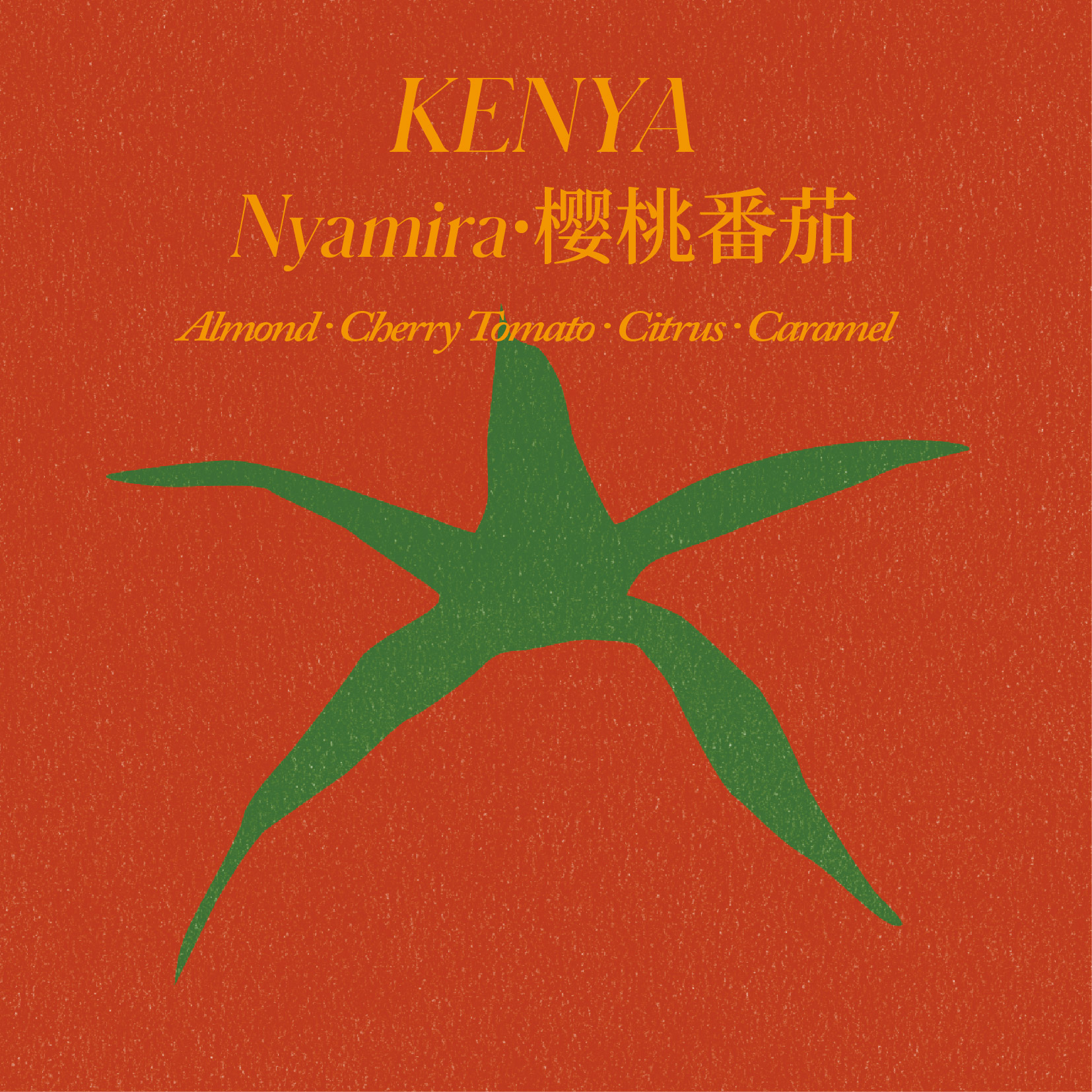 肯尼亚 Nyamira Nyabomite Nyangoko 樱桃番茄 水洗处理